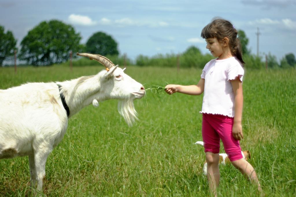 Agroturystyka Zabi Raj Pokrzywnica Bagian luar foto